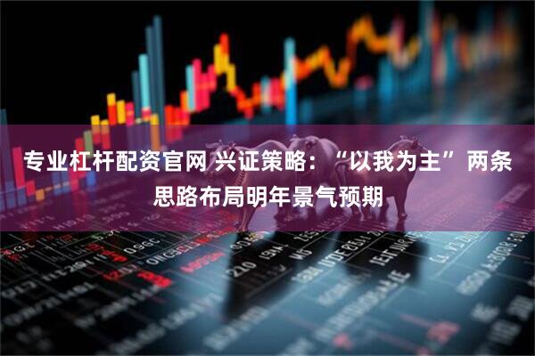 专业杠杆配资官网 兴证策略：“以我为主” 两条思路布局明年景气预期