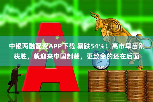 中银两融配资APP下载 暴跌54％！高市早苗刚获胜，就迎来中国制裁，更致命的还在后面